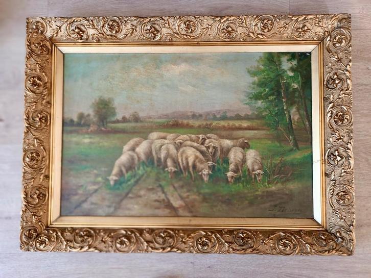 Grazende schapen J. Debryn pseudoniem van Schouten Henry, Antiek en Kunst, Kunst | Schilderijen | Klassiek, Ophalen