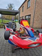 kart, rotax max motor, Tecno chasis, Sport en Fitness, Karting, Ophalen, Gebruikt, Kart