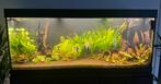 Aquarium Juwel Rio 450 + heliallux + smart control, Dieren en Toebehoren, Vissen | Aquaria en Toebehoren, Ophalen, Gebruikt