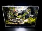 Terrariums ingericht.  Nieuw!, Dieren en Toebehoren, Ophalen