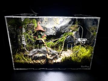 Terrariums ingericht.  Nieuw! beschikbaar voor biedingen