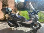 honda forza 300 cc, 1 cylindre, 12 à 35 kW, Scooter, Particulier