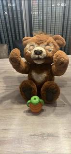 Cubby de beer, Enlèvement, Neuf