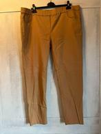 stretchbroek met rekker nooit gedragen claude arielle 50 car, Vêtements | Femmes, Grandes tailles, Claude arielle e5 mode, Enlèvement ou Envoi
