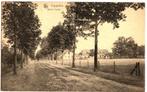 Carte postale Ancienne/CPA/Cappelen/Hoeve Irishof/1920/Top, Envoi, Avant 1920, Affranchie, Anvers