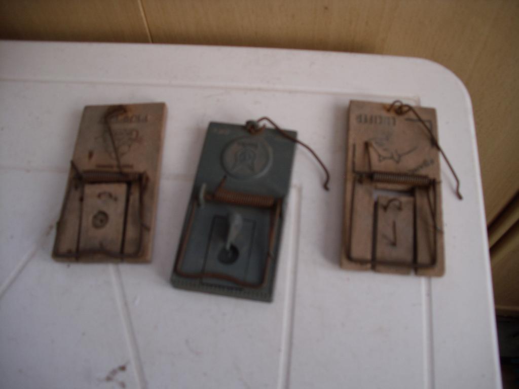 muizenvallen, Jardin & Terrasse, Pesticides, Enlèvement, Neuf, Lutte antiparasitaire