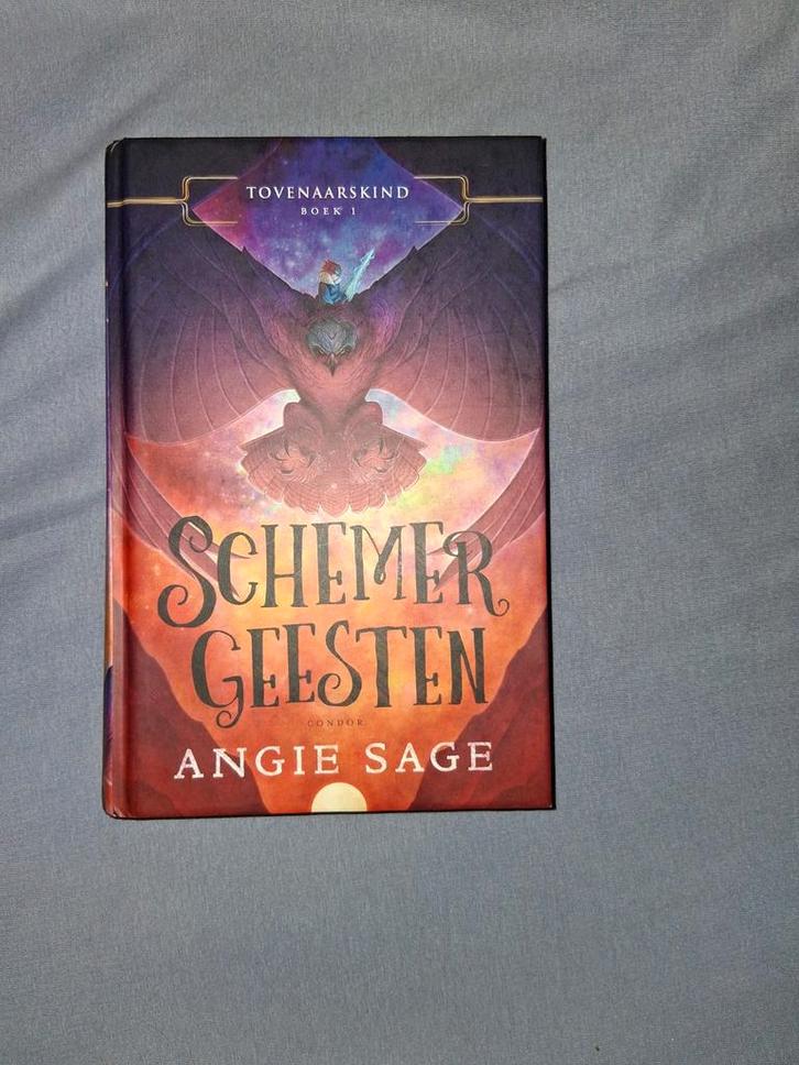 Angie Sage - Schemergeesten, Boeken, Kinderboeken | Jeugd | 10 tot 12 jaar, Ophalen of Verzenden