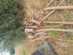 Brandhout te koop, Ophalen