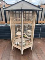 Vogelkooi met toebehoren en vogels, Dieren en Toebehoren, Ophalen, Zo goed als nieuw, Vogelkooi