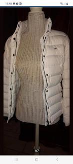 Tommy hilfigerjas maat xs gebroken wit, Kleding | Dames, Bodywarmers, Ophalen of Verzenden, Zo goed als nieuw, Maat 34 (XS) of kleiner