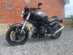 Ducati Monster, Particulier