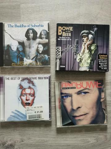 lotje Bowie beschikbaar voor biedingen