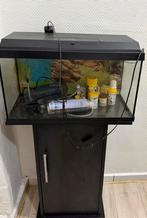 Juwel aquarium 60, Dieren en Toebehoren, Ophalen, Zo goed als nieuw