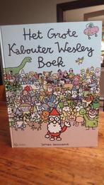 Het Grote Kabouter Wesley Boek, Eén stripboek, Ophalen of Verzenden, Zo goed als nieuw, Jonas Geirnaert
