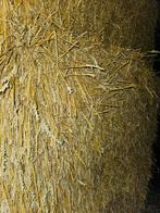 Balles STRAW, Animaux & Accessoires, Enlèvement, Bétail