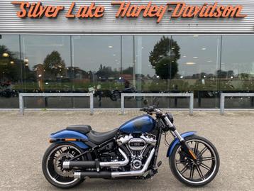 Harley-Davidson Softail Break Out 115th anniversary met 12 m beschikbaar voor biedingen