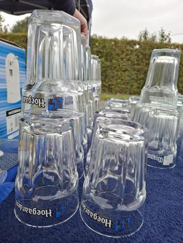 Hoegaarden glazen  beschikbaar voor biedingen
