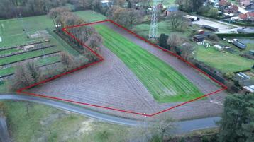 Recreatiegrond 93a46ca te koop te Kerkhofstraat Paal, Paal/Beringen, 1500 m² ou plus