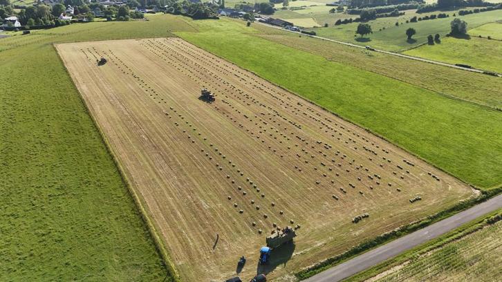 foin en petites bottes, Dieren en Toebehoren, Paarden en Pony's | Overige Paardenspullen, Nieuw, Ophalen