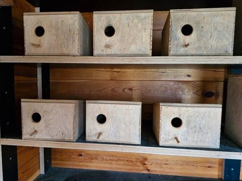 6 vogel broedkooien voor bvb kleine parkieten, Tuin en Terras, Vogelhuisjes en Vogelbaden, Gebruikt, Ophalen of Verzenden