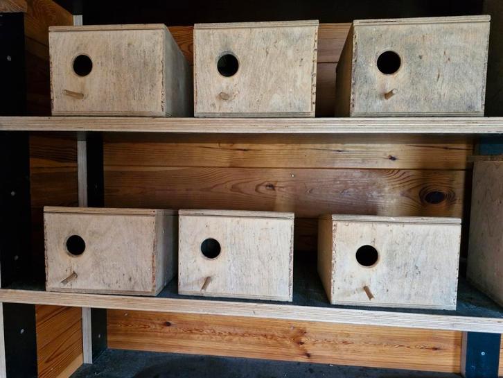 6 vogel broedkooien voor bvb kleine parkieten, Tuin en Terras, Vogelhuisjes en Vogelbaden, Gebruikt, Ophalen of Verzenden