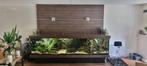 High End aquarium 3 meter. Compleet, Dieren en Toebehoren, Vissen | Aquaria en Toebehoren, Ophalen, Zo goed als nieuw, Gevuld zoetwateraquarium