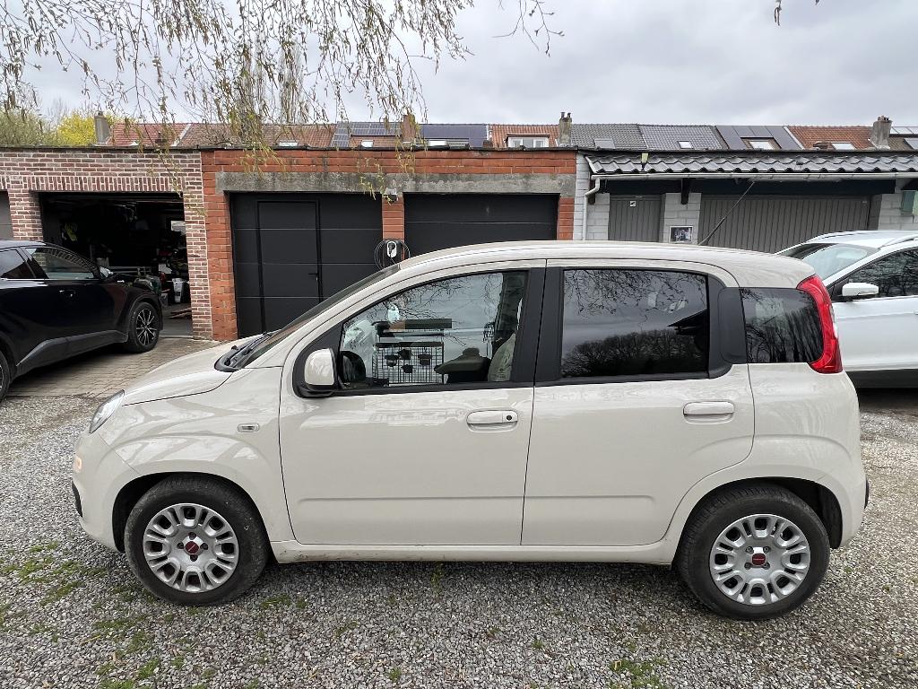 Fiat Panda  1.2, Auto's, Fiat, Voorwielaandrijving, Stof, Panda, Wit
