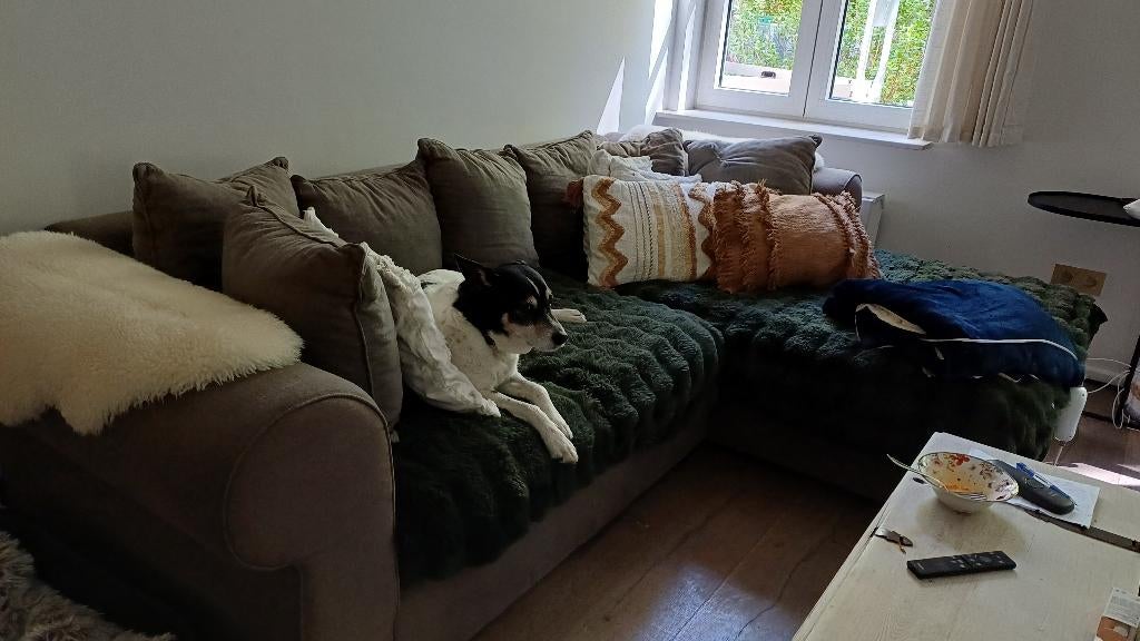 2 grote banken - GRATIS en zelf ophalen, Banc d'angle, Quatre personnes ou plus, Landelijk, Enlèvement