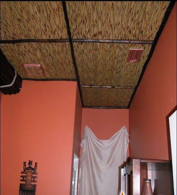 PANNEAUX INTÉRIEURS TRÈS UNIQUES (PLAQUES EN ROSEAU), Bricolage & Construction, Sanitaire, Enlèvement