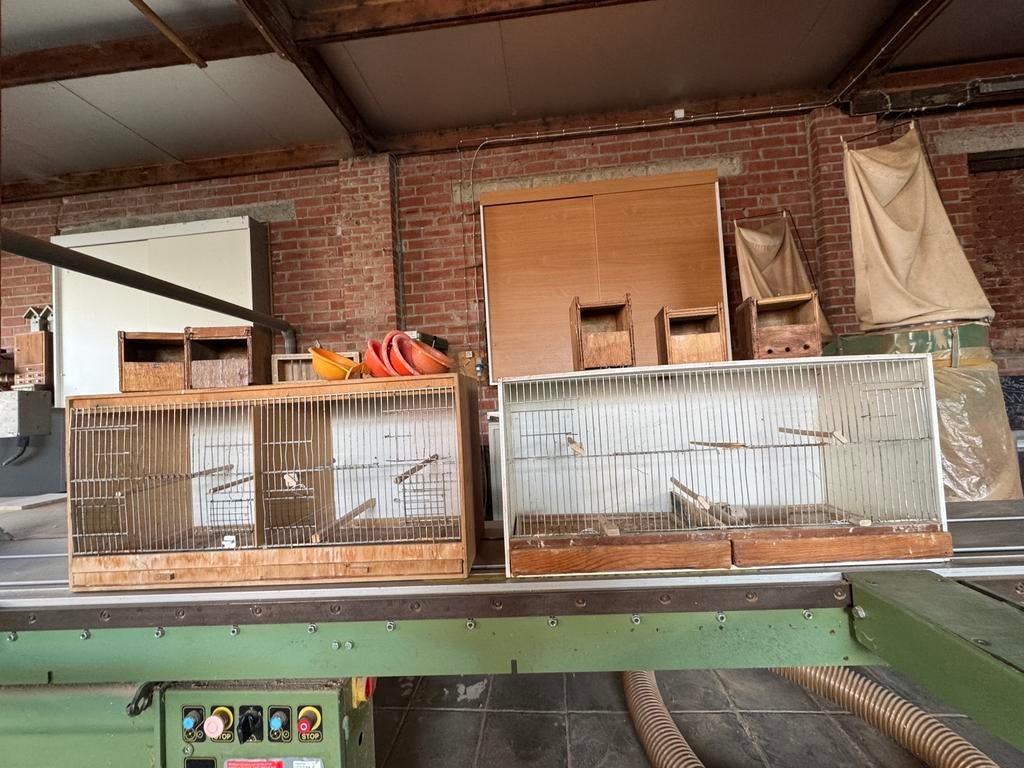 Kweekooien voor kanaries, Dieren en Toebehoren, Ophalen, Zo goed als nieuw