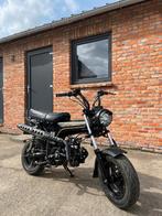 Brommer Honda Dax 50cc Bluroc Heritage 10/2023 A-klasse, Fietsen en Brommers, Brommers | Honda, Ophalen, Gebruikt, Overige modellen