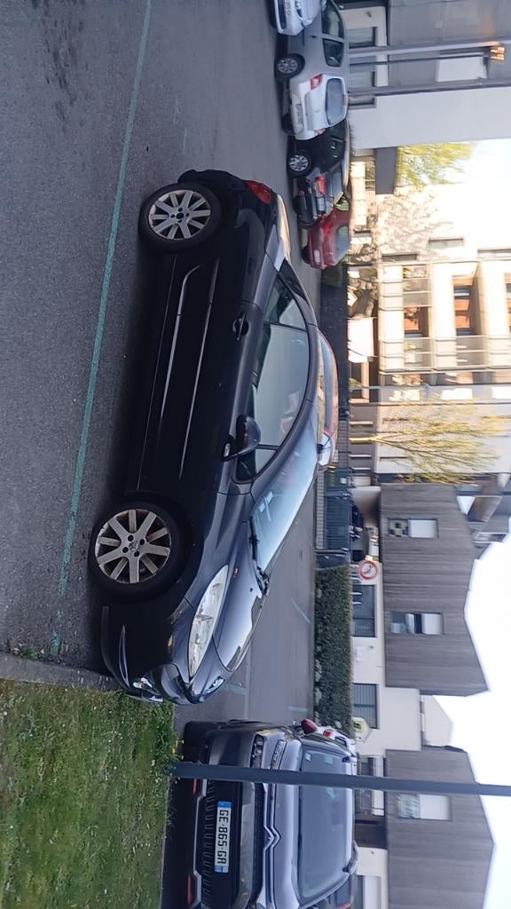 207 cc, Auto's, Peugeot, Particulier, ABS, Airbags, Airconditioning, Automatische klimaatregeling, Boordcomputer, Centrale vergrendeling