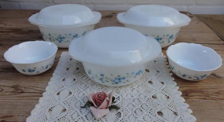 Nog 2 vintage ovenschalen + 2 kommetjes, Arcopal Veronica, Maison & Meubles, Cuisine | Vaisselle, Comme neuf, Récipient(s), Autres styles