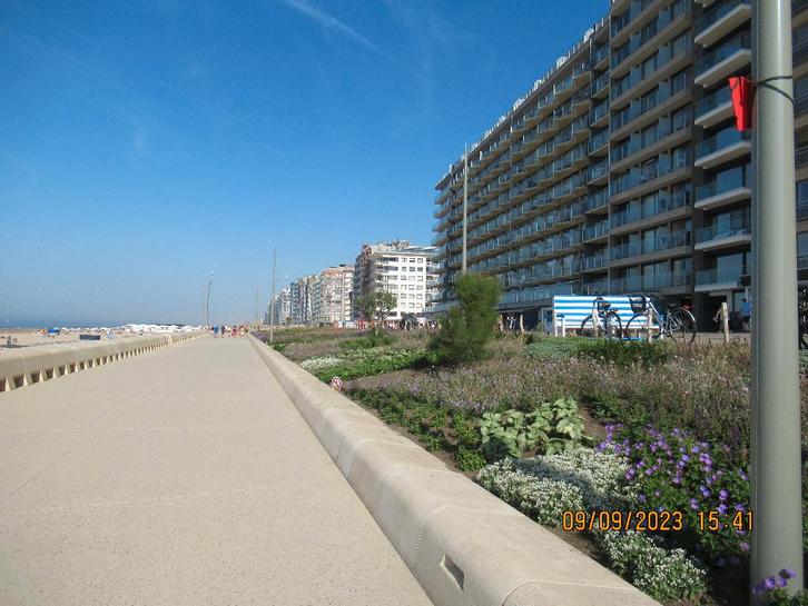 Studio de vacances en bord de mer à louer, Vacances, Maisons de vacances | Belgique, Anvers et Flandres, Appartement, Autres, Mer
