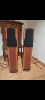 Chario silverette 100 tw, TV, Hi-fi & Vidéo