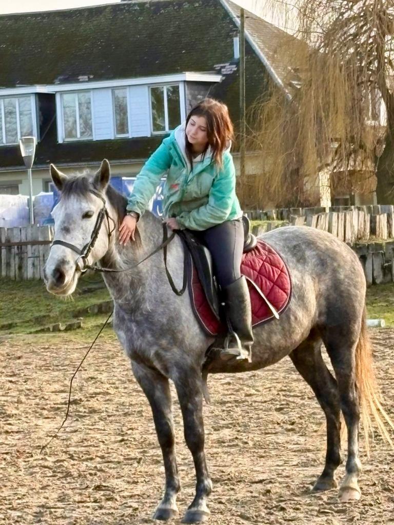 Magnifique Jument Espagnol de 6 ans, Animaux & Accessoires, Chevaux, B, Moins de 160 cm, Avec pedigree, Cheval de récréation