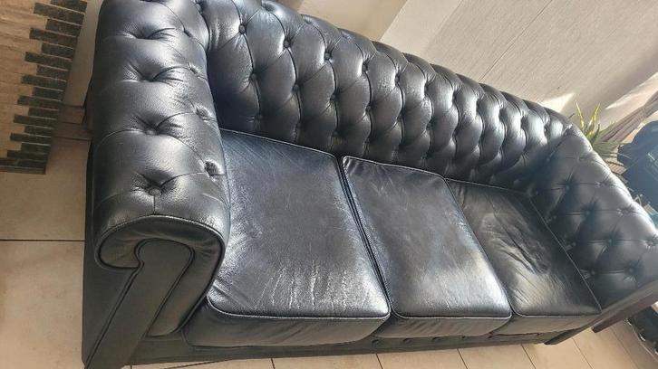 Canapé chesterfield cuir de buffle, Maison & Meubles, Canapés | Salons, Utilisé, Banc droit, Trois personnes, 200 à 250 cm, 75 à 100 cm