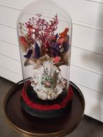 Antiquités, Enlèvement