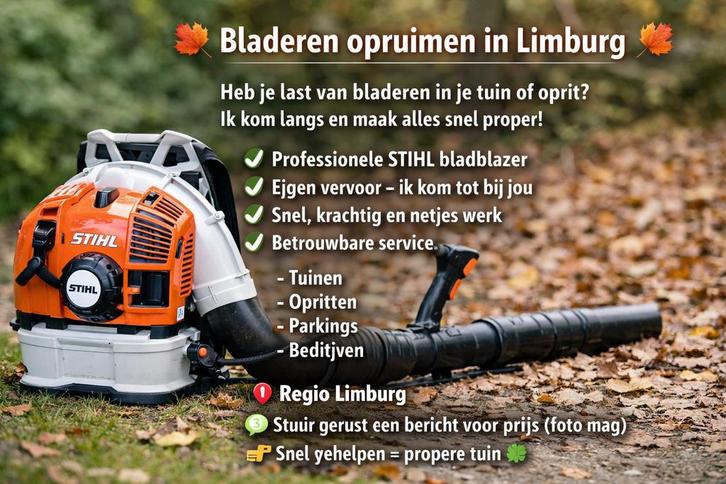 Bladeren opruimen in Limburg, Tuin en Terras, Bladblazers, Zo goed als nieuw, Ophalen