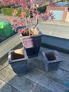 bloempotten, Tuin en Terras, Ophalen, Overige materialen, Gebruikt, Vierkant