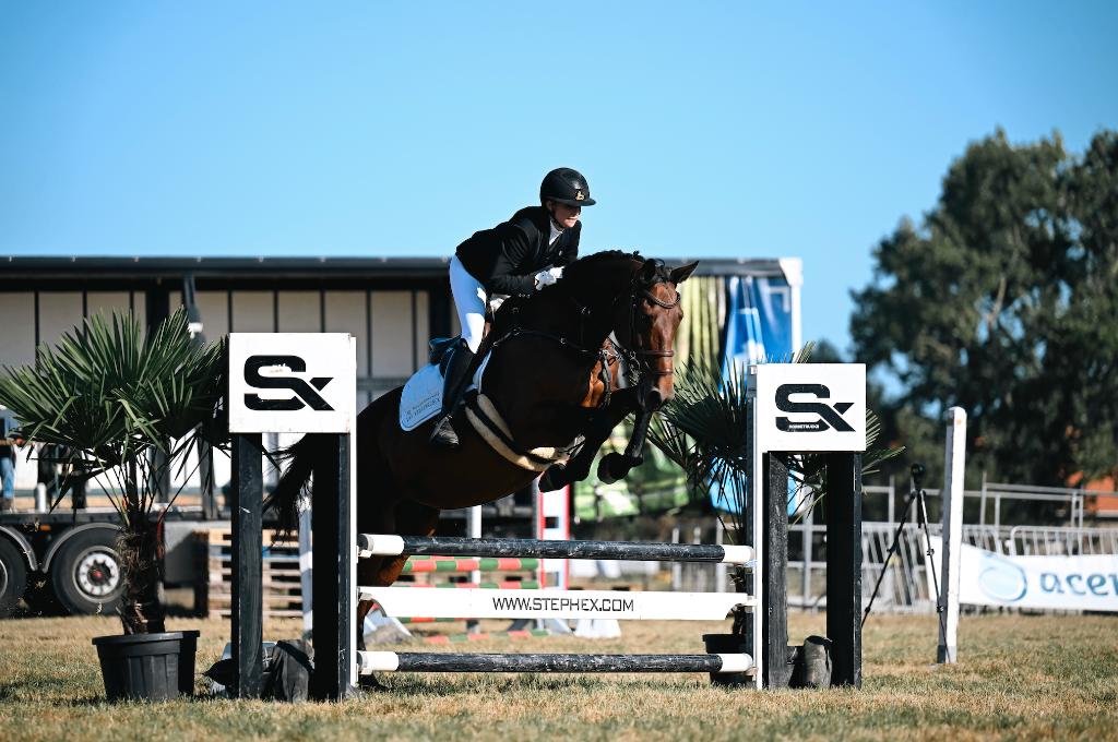 13 jarige recreatie/allround merrie, Merrie, 11 jaar of ouder, Met stamboom, B