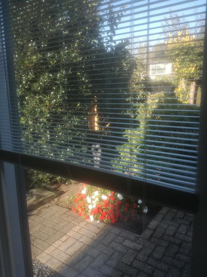 JALOEZIEEN (10 hor. + 1 vert.) 25 mm, diverse afmetingen!, Huis en Inrichting, Stoffering | Gordijnen en Lamellen, Zo goed als nieuw