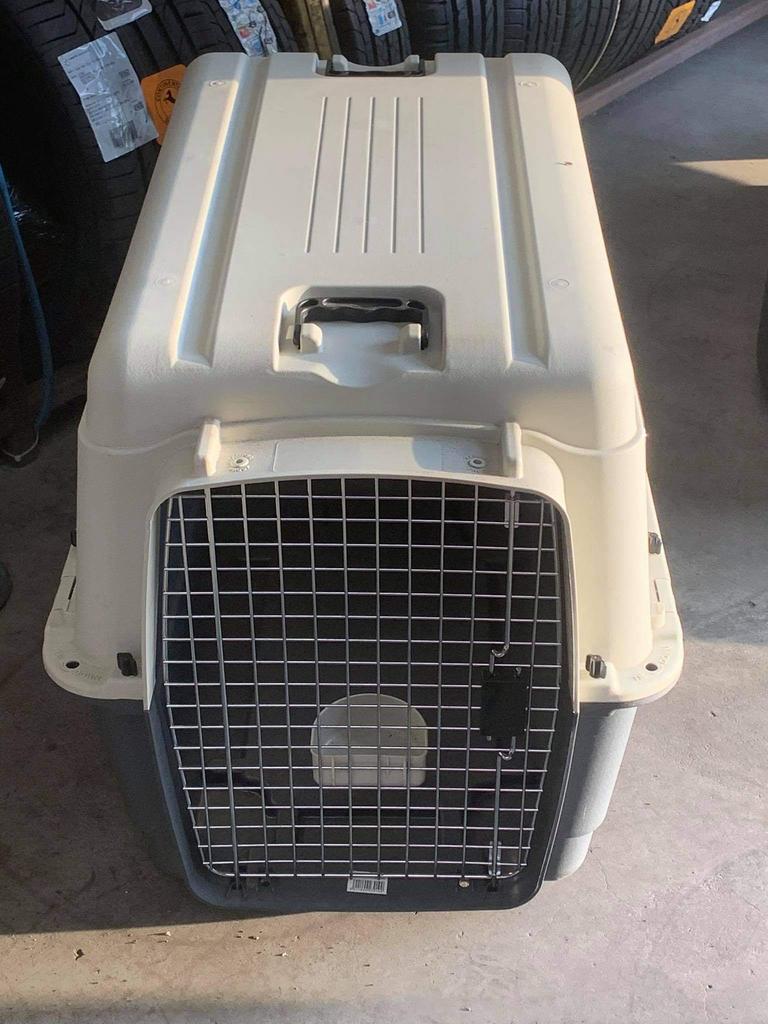 Voor hond transport, Enlèvement, Comme neuf