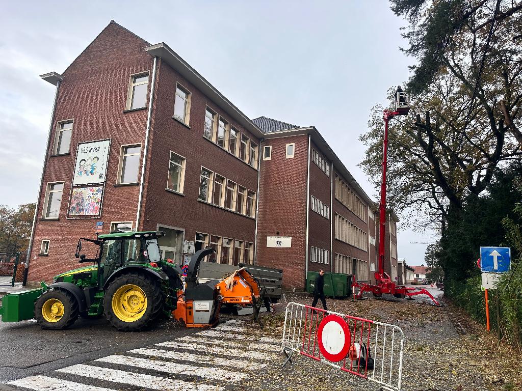 Alg. tuin , groen en grondwerk.