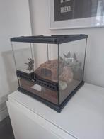 Terrarium exo terra 30 x 30 x 30