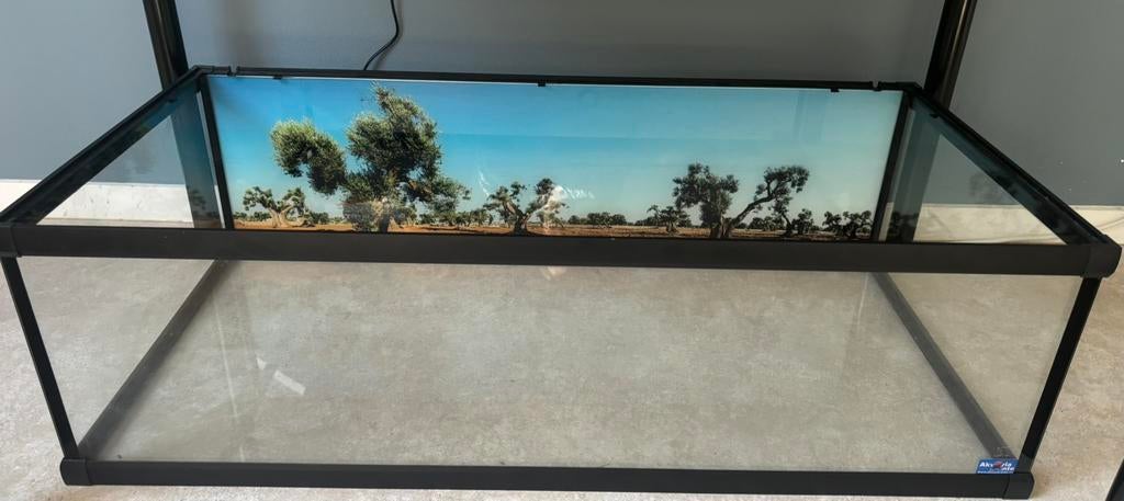 Terrarium open landschilpad/klein waterschildpad 100x50x30, Ophalen, Zo goed als nieuw, Terrarium of Paludarium