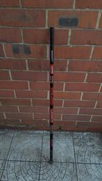 2 Karperstokken ARCA - 6M, Enlèvement, Utilisé, Ligne fixe