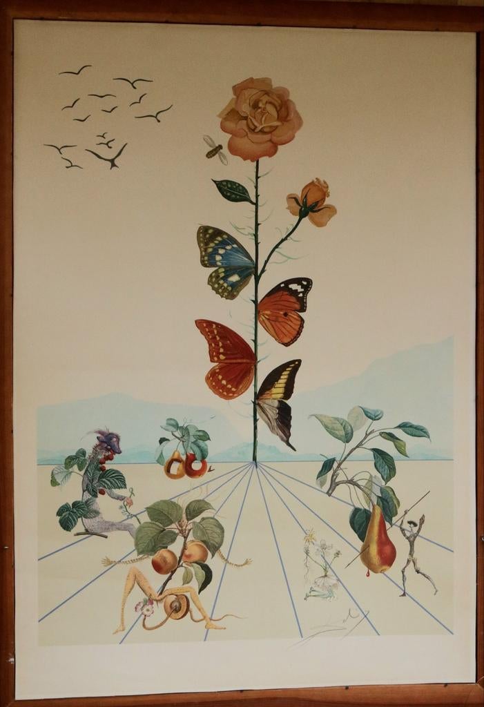 La Rose Papillon, Antiquités & Art, Art | Lithographies & Sérigraphies, Enlèvement