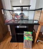 Aquarium + meuble + lampe leds, Dieren en Toebehoren, Vissen | Aquaria en Toebehoren, Ophalen, Gebruikt