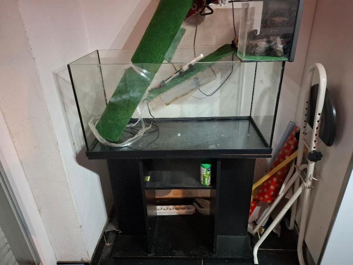 Aquarium +terrarium pour tortue d'eau, Dieren en Toebehoren, Reptielen en Amfibieën | Toebehoren, Gebruikt, Overige typen, Ophalen